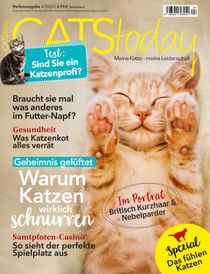 Cats Today